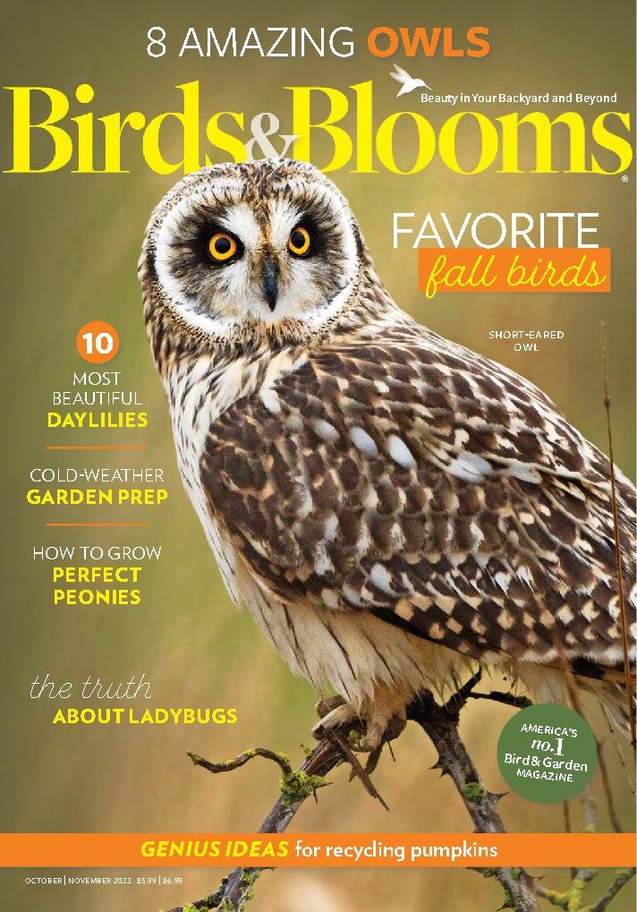 Birds Blooms Magazine Special Introductory Offer