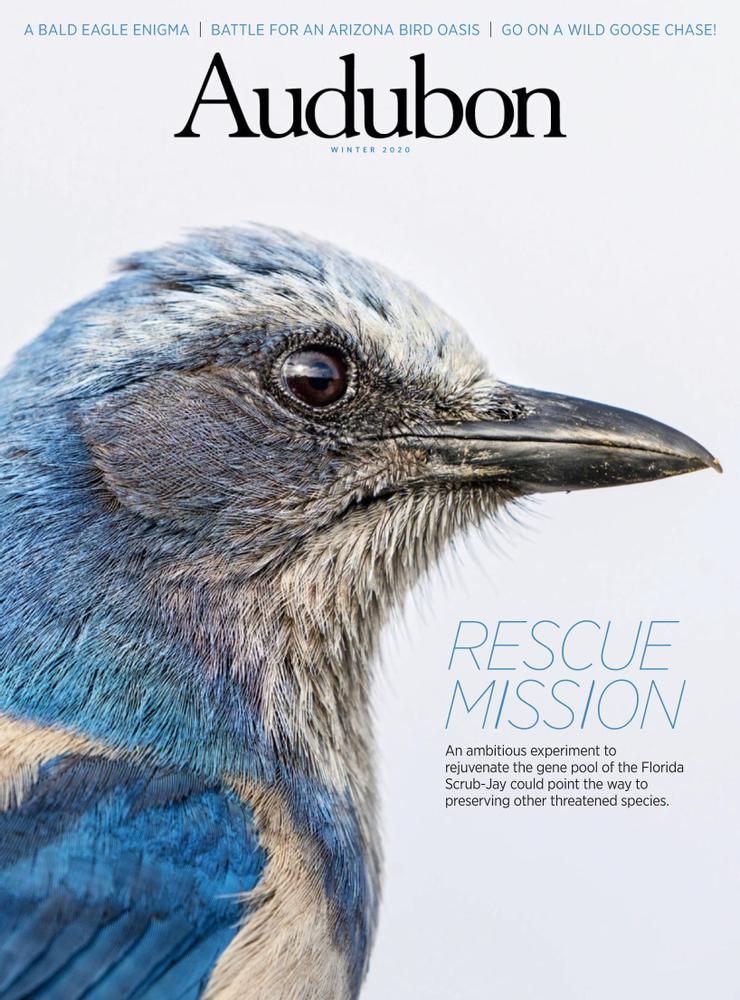 Audubon December 01, 2020 Issue Cover