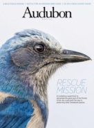 Audubon December 01, 2020 Issue Cover