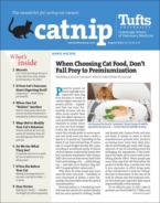 Catnip August 01, 2022 Issue Cover