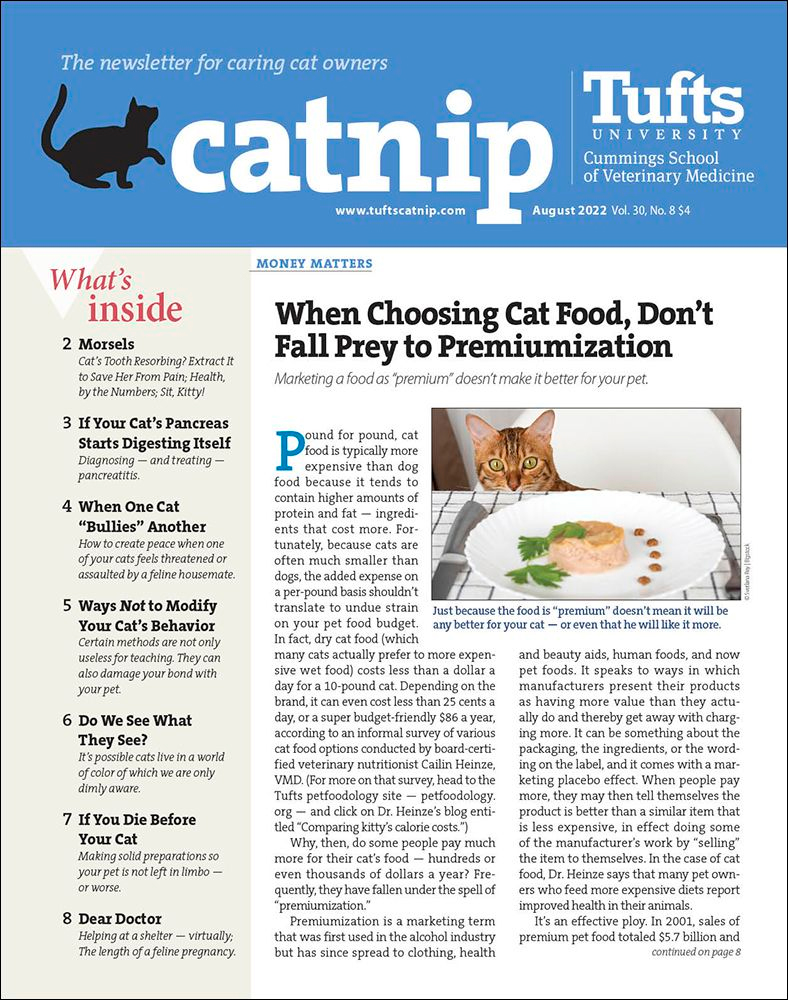 Catnip August 01, 2022 Issue Cover