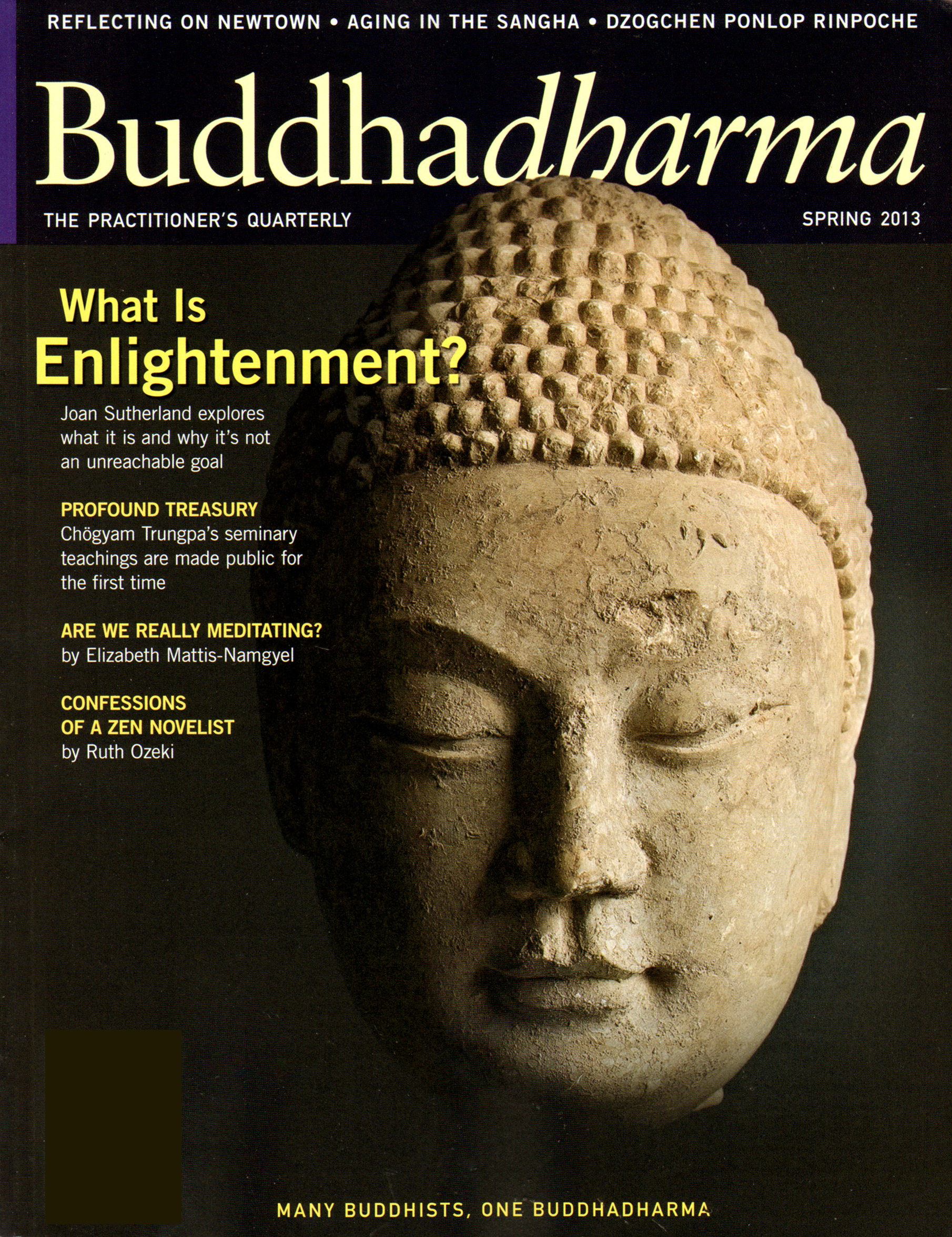 BUDDHADHARMA-THE-PRACTIONERS-QUARTERLY March 01, 2013 Issue Cover