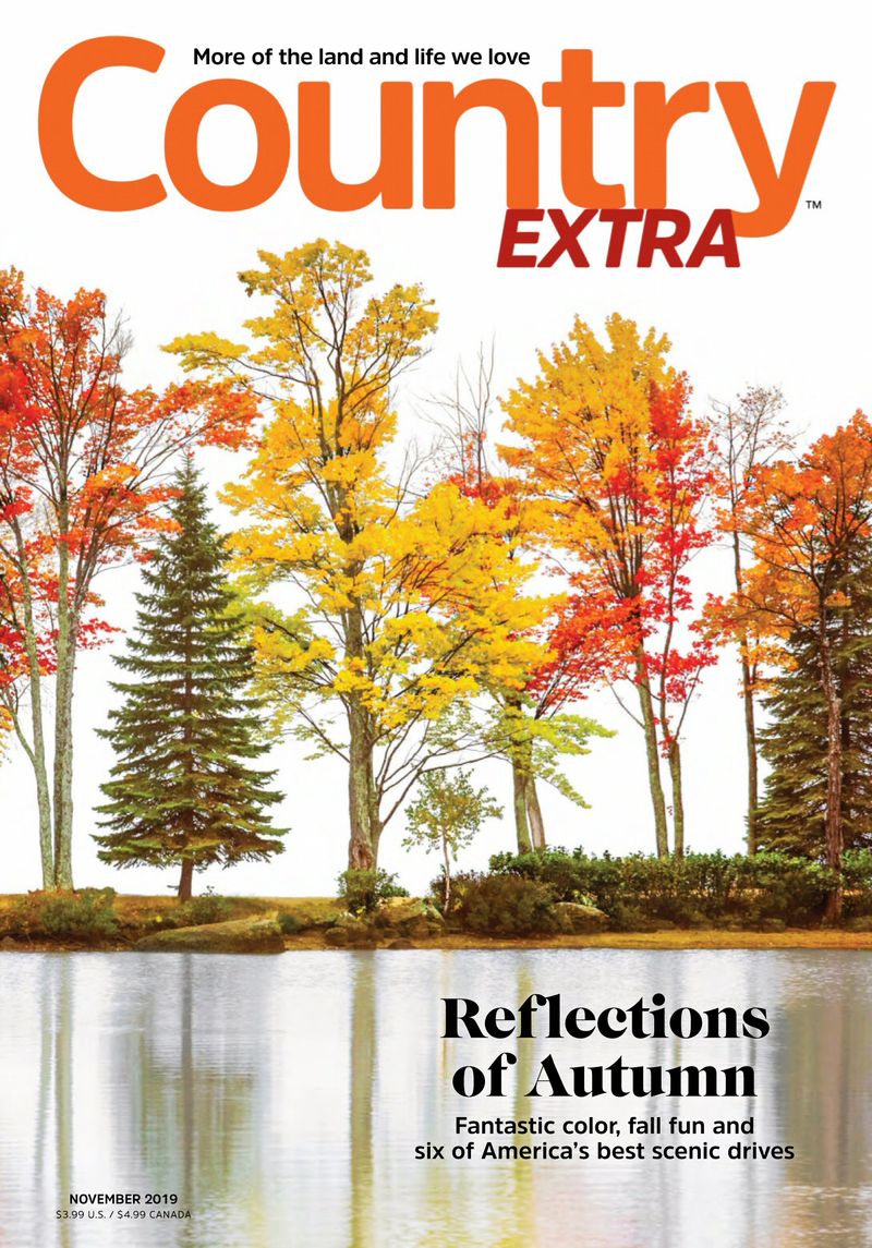 Country-Extra November 01, 2019 Issue Cover