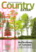 Country-Extra November 01, 2019 Issue Cover
