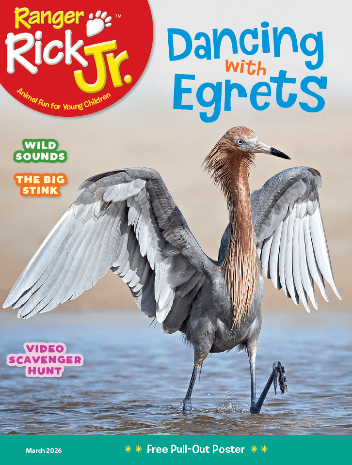 Ranger-Rick-Jr March 01, 2026 Issue Cover