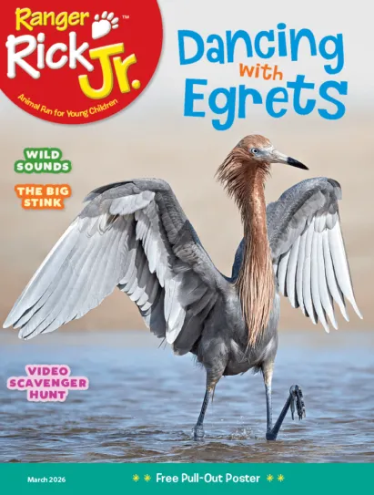 Ranger Rick Jr. March 01, 2026 Issue Cover