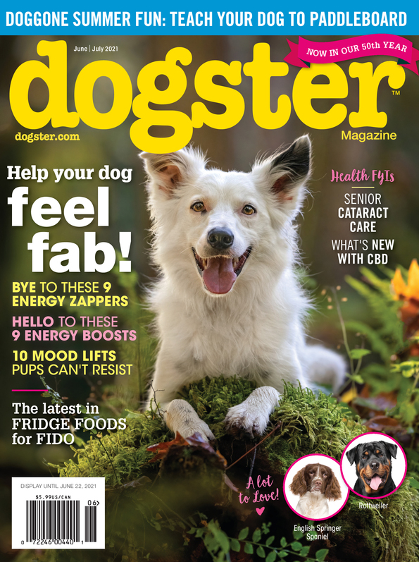 Dogster June 01, 2021 Issue Cover
