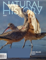 Natural History September 01, 2024 Issue Cover
