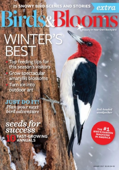 Birds & Blooms Extra January 01, 2017 Issue Cover