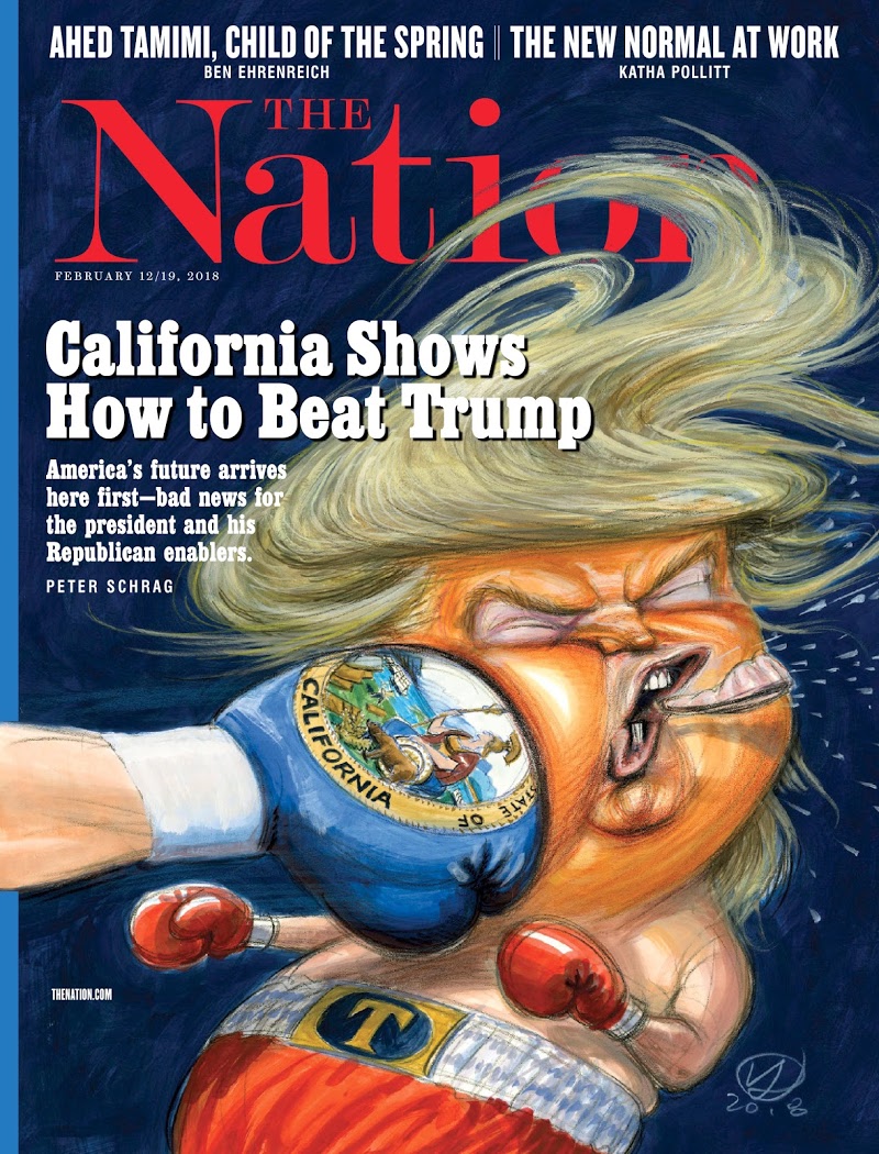 the-nation February 12, 2018 Issue Cover