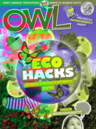 OWL April 01, 2022 Issue Cover