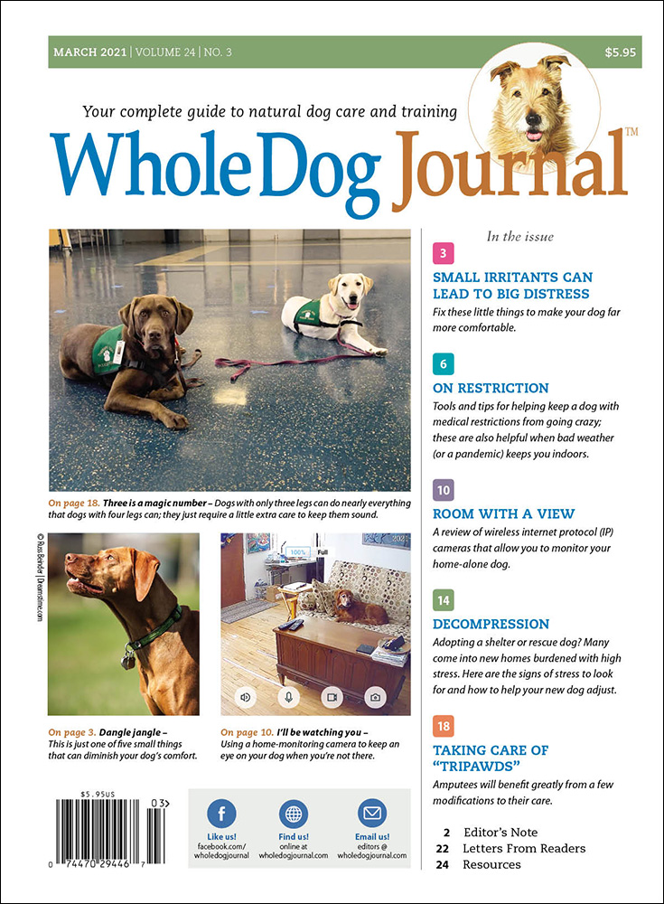 Whole-Dog-Journal March 01, 2021 Issue Cover