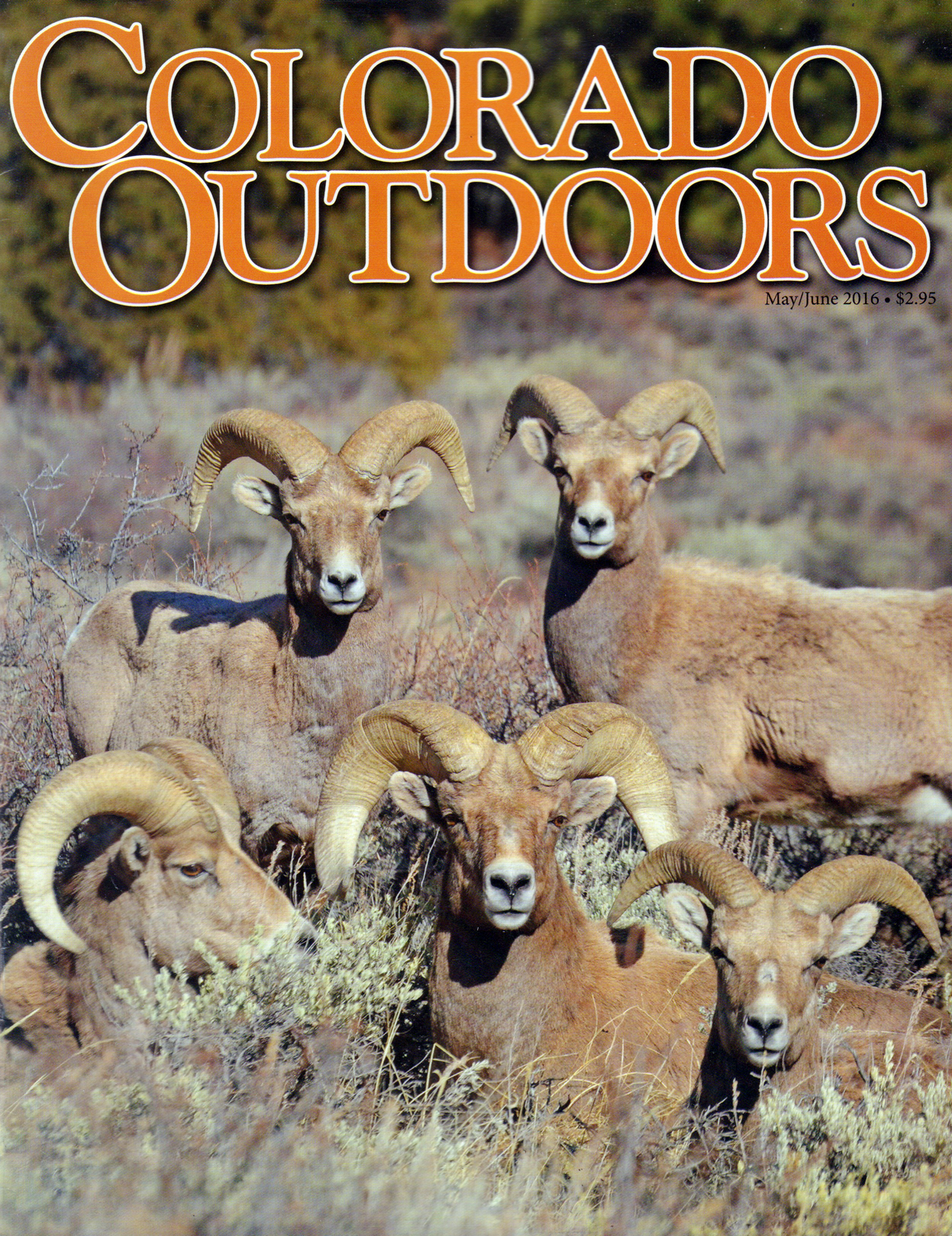 Colorado-Outdoors May 01, 2016 Issue Cover