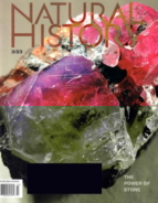 Natural-History March 01, 2023 Issue Cover