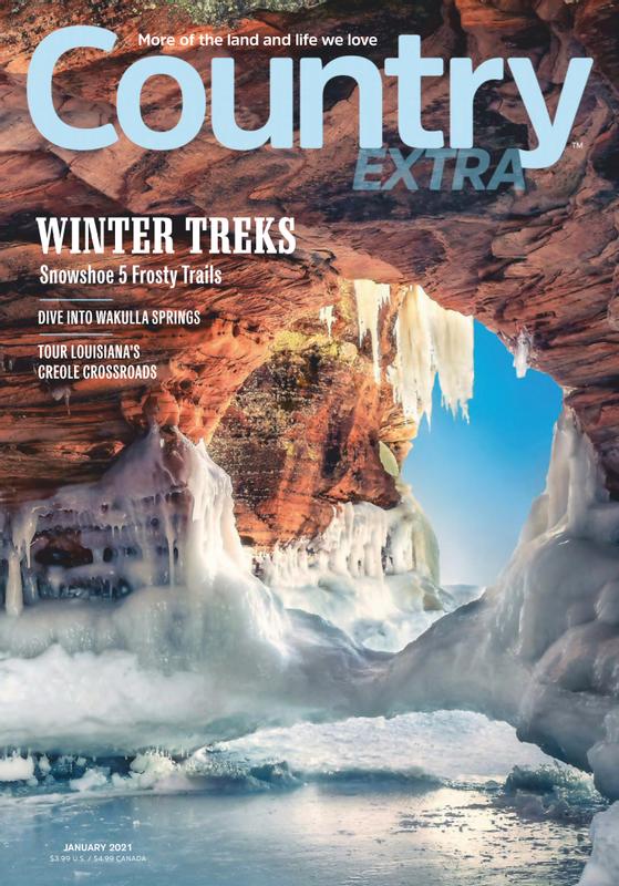Country-Extra January 01, 2021 Issue Cover