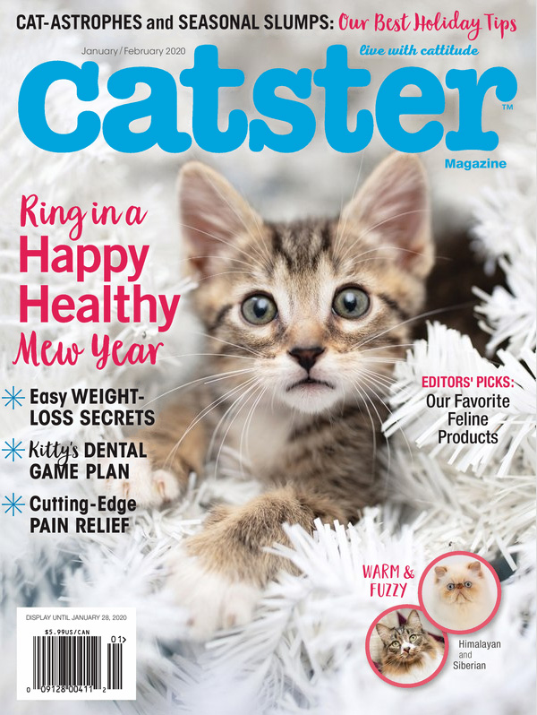 Catster January 01, 2020 Issue Cover