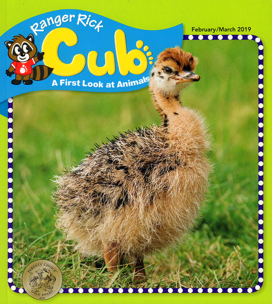 Ranger-Rick-Cub February 01, 2019 Issue Cover