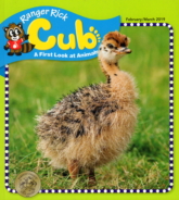 Ranger-Rick-Cub February 01, 2019 Issue Cover