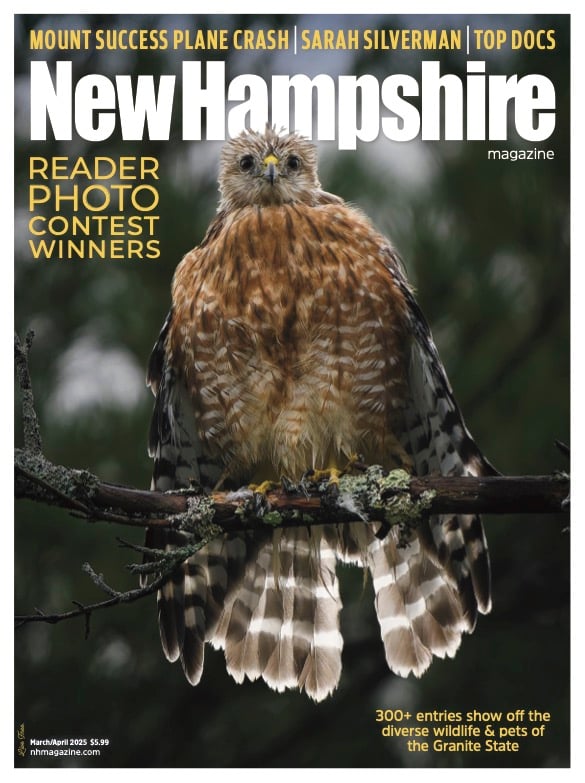 New-Hampshire March 01, 2025 Issue Cover