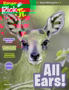 Ranger Rick Jr. May 01, 2024 Issue Cover