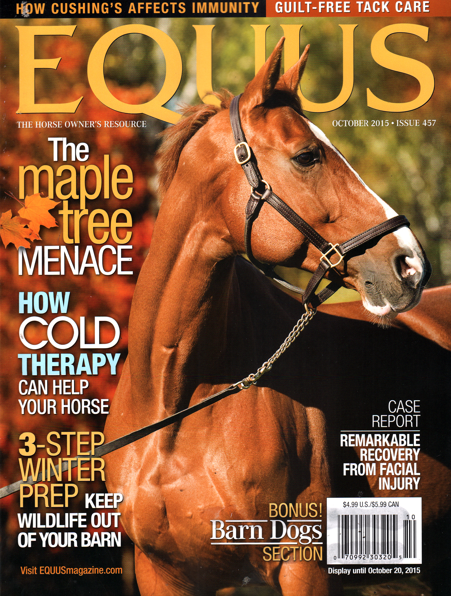 Equus October 01, 2015 Issue Cover