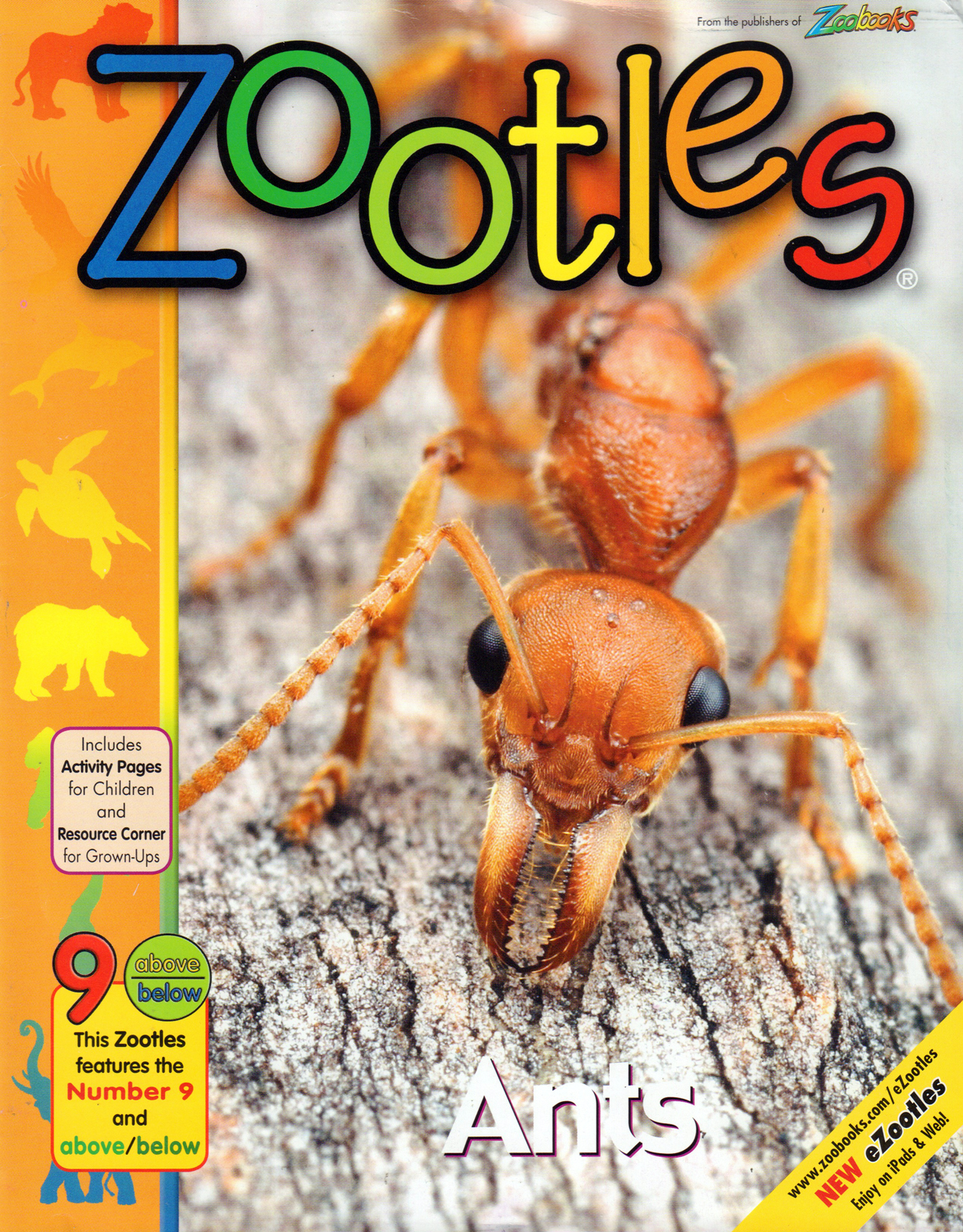 Zootles December 01, 2016 Issue Cover