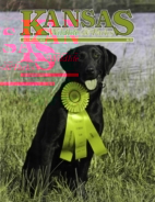 Kansas-Wildlife-and-Parks July 01, 2015 Issue Cover