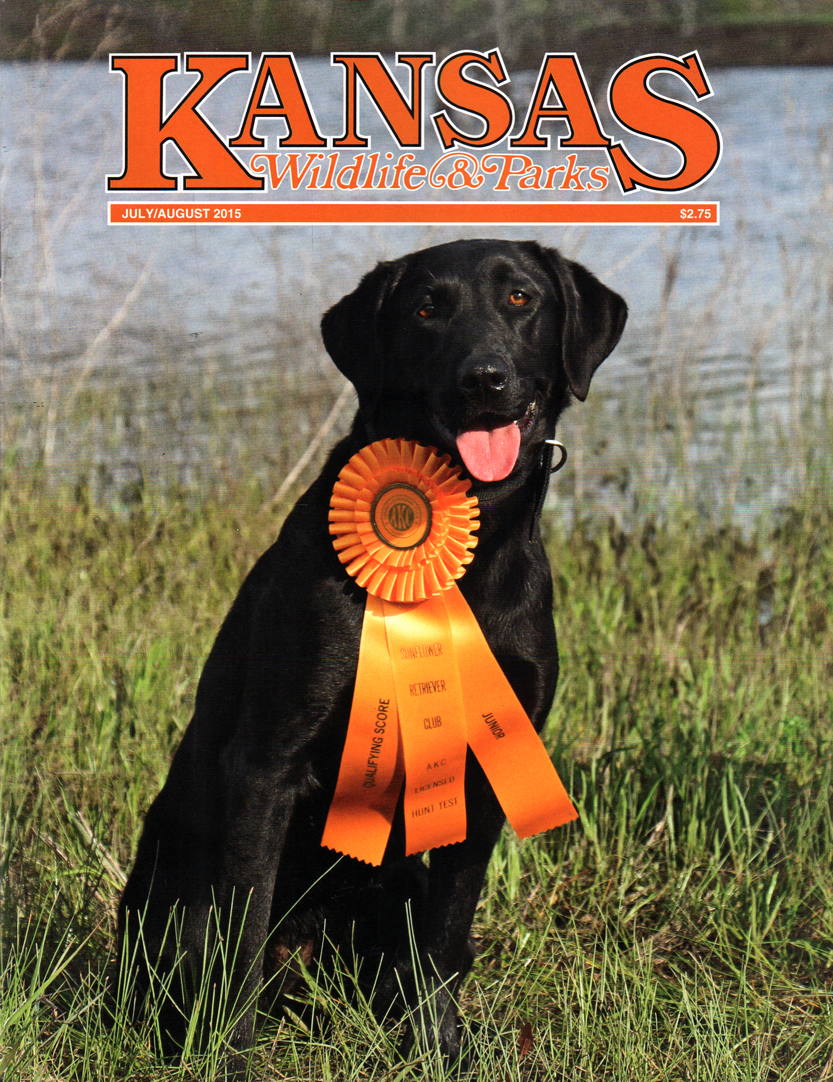 Kansas-Wildlife-and-Parks July 01, 2015 Issue Cover