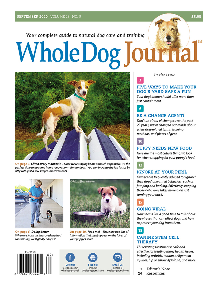 Whole-Dog-Journal September 01, 2020 Issue Cover