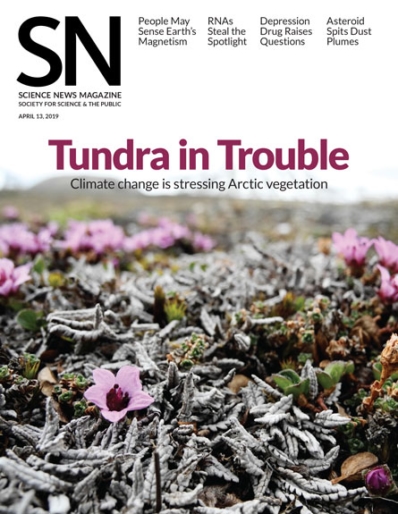 Science News April 13, 2019 Issue Cover