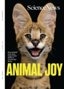 Science-News February 01, 2026 Issue Cover