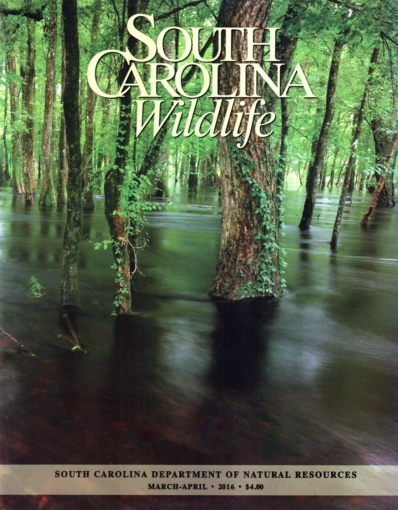 South Carolina Wildlife March 01, 2016 Issue Cover