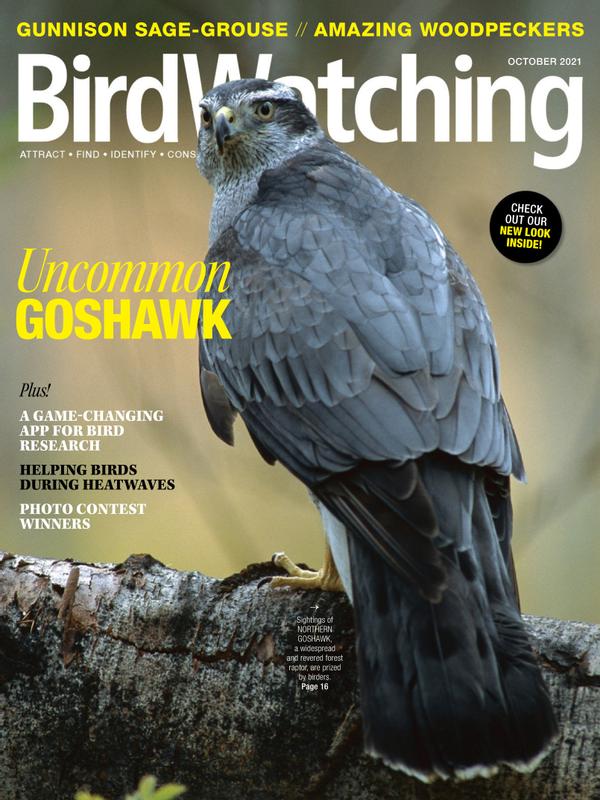 Bird-Watching October 01, 2021 Issue Cover