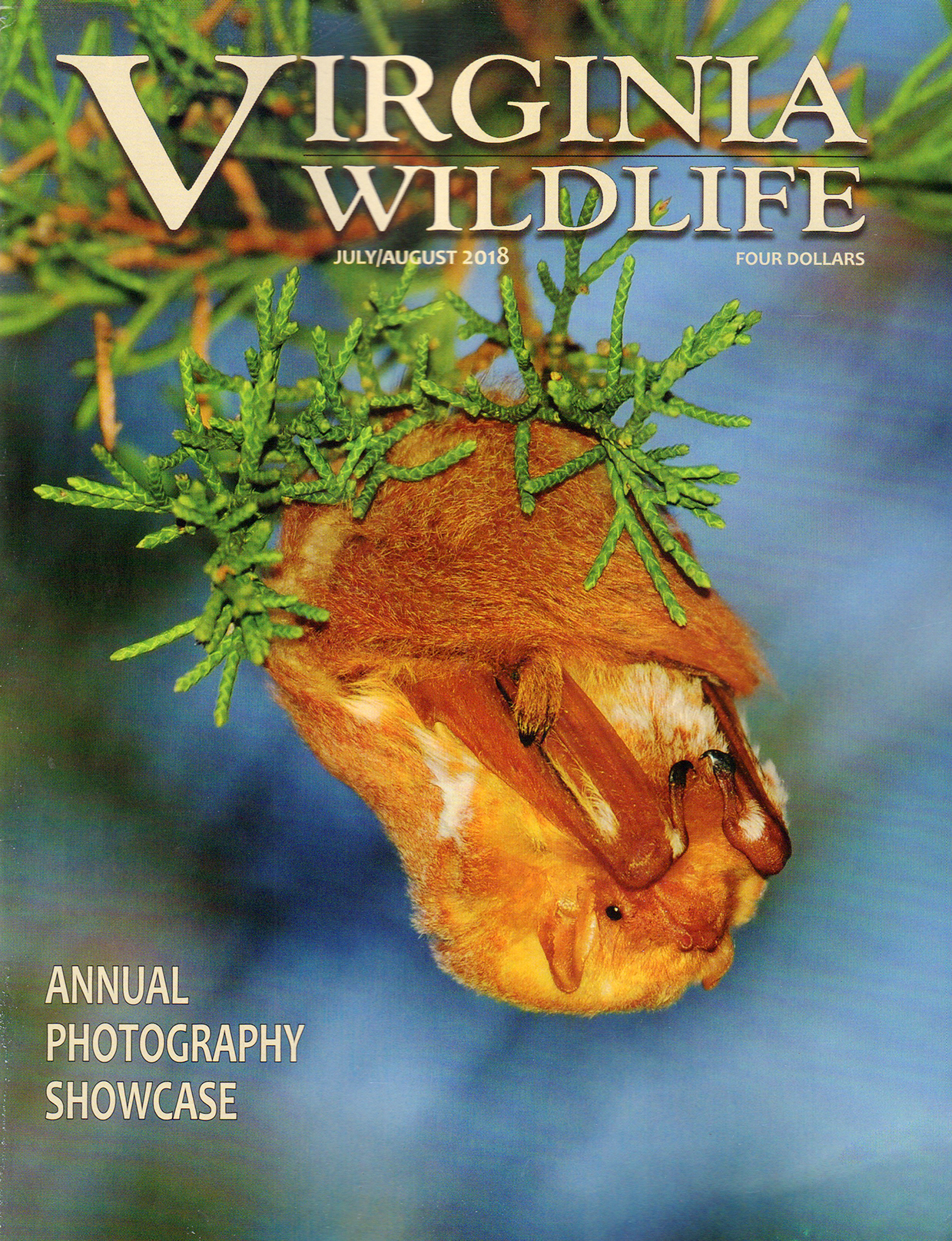 Virginia-Wildlife July 01, 2018 Issue Cover