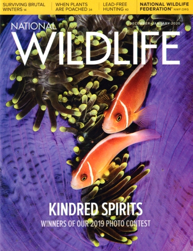 National Wildlife December 01, 2019 Issue Cover