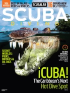 Scuba-Diving June 01, 2014 Issue Cover
