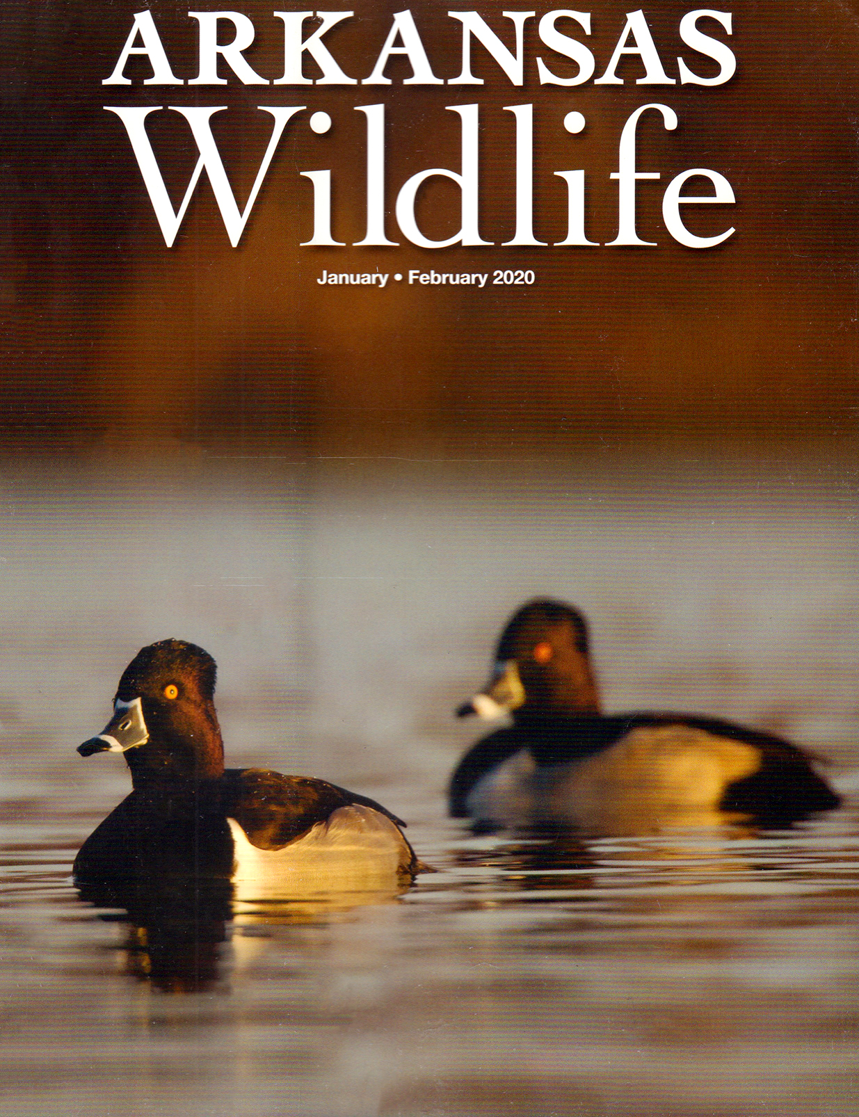 Arkansas-Wildlife January 01, 2020 Issue Cover