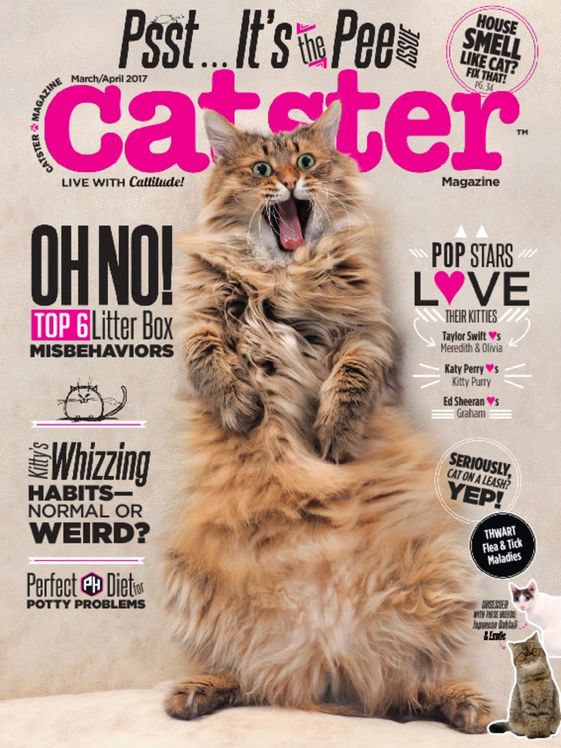 Catster March 01, 2017 Issue Cover