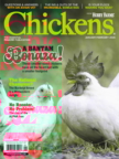 Chickens January 01, 2026 Issue Cover