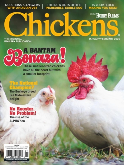 Chickens January 01, 2026 Issue Cover