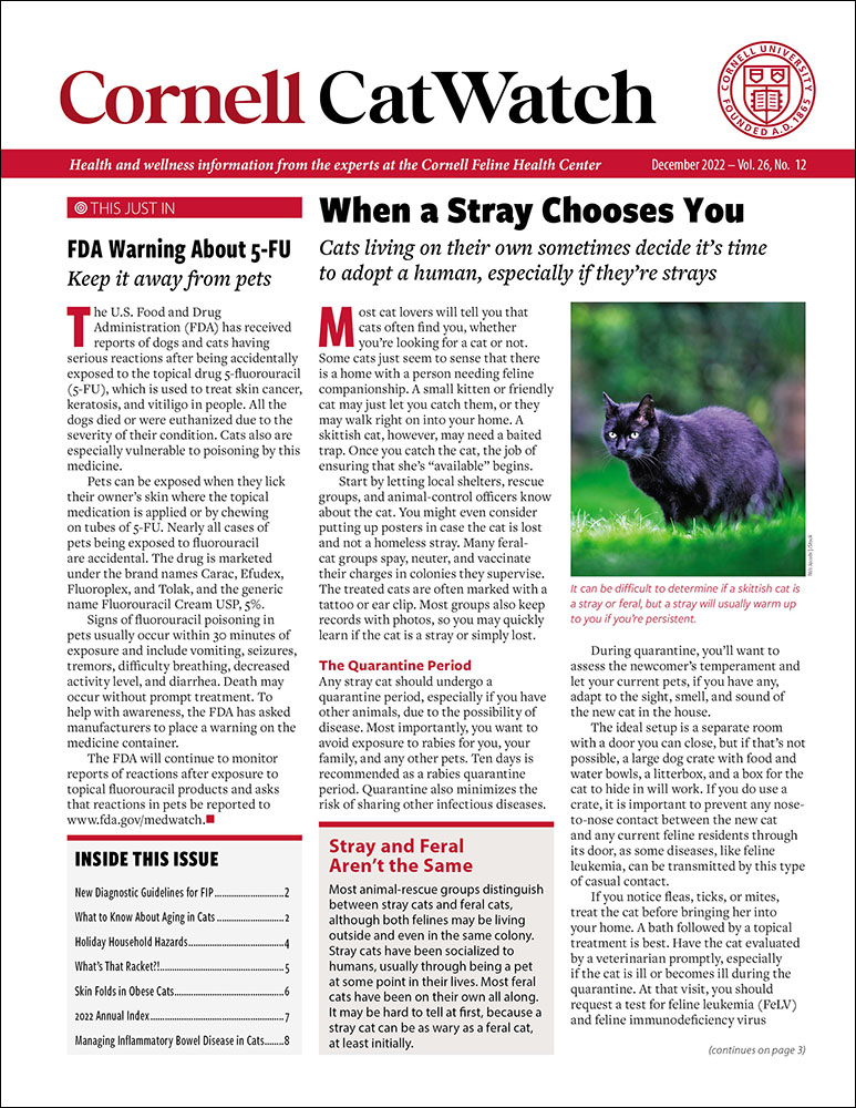 Catwatch December 01, 2022 Issue Cover