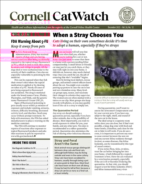 Catwatch December 01, 2022 Issue Cover