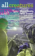 All-Creatures March 01, 2021 Issue Cover