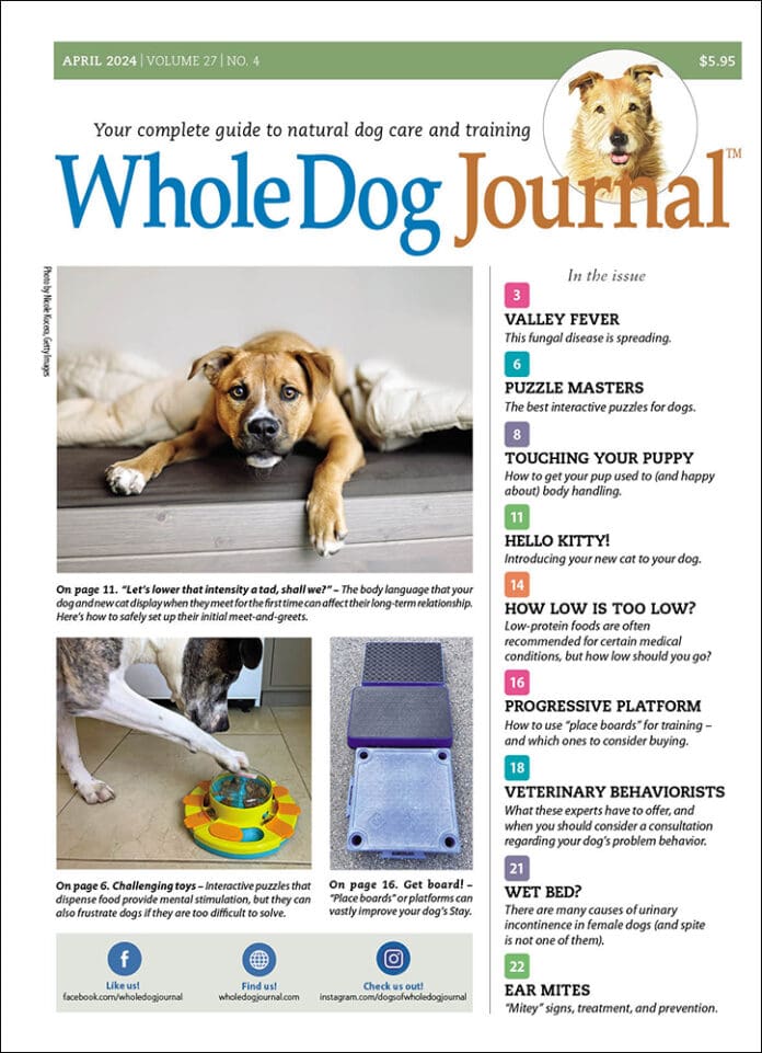 Whole-Dog-Journal April 01, 2024 Issue Cover
