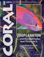 Coral March 01, 2022 Issue Cover