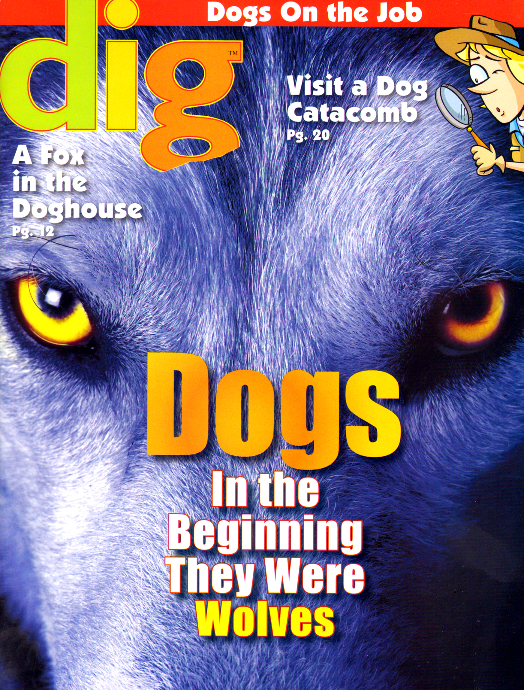 Dig-Magazine January 01, 2013 Issue Cover