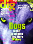 Dig-Magazine January 01, 2013 Issue Cover