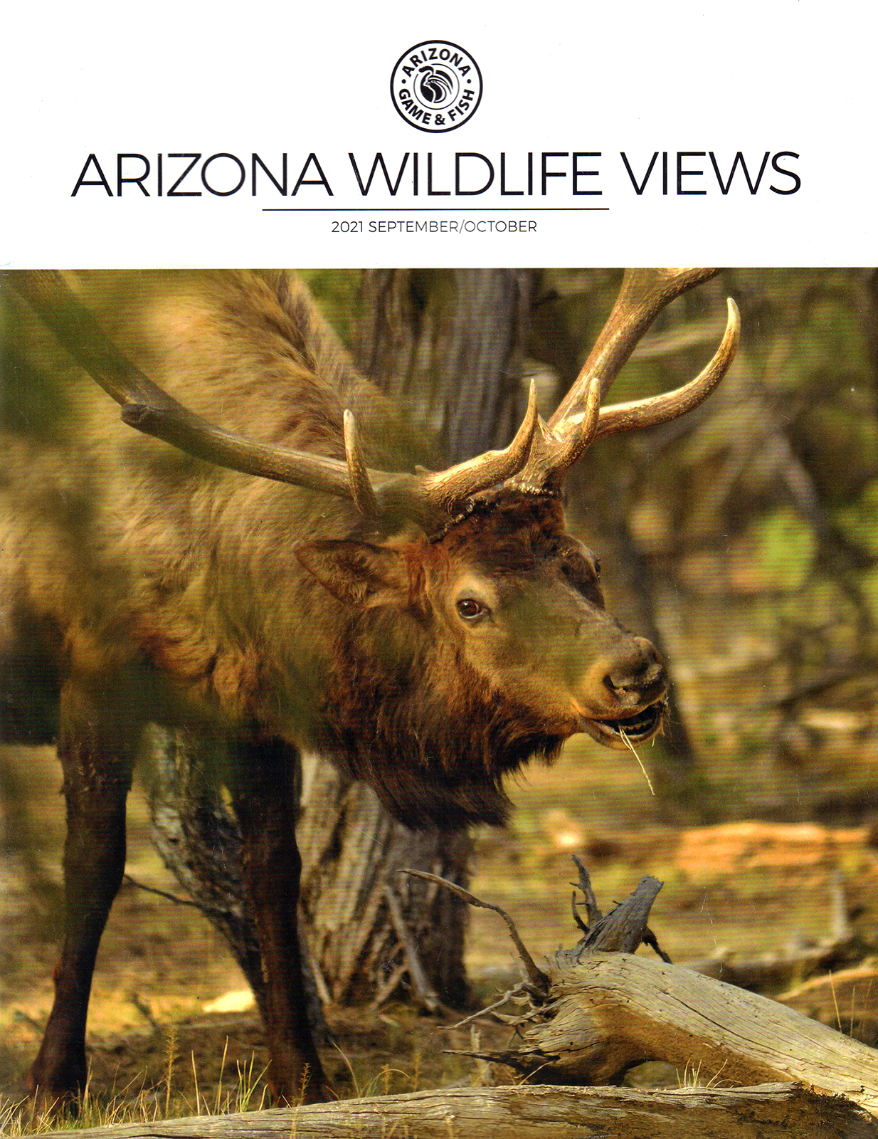 Arizona-Wildlife-Views September 01, 2021 Issue Cover