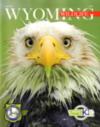 Wyoming-Wildlife July 01, 2020 Issue Cover