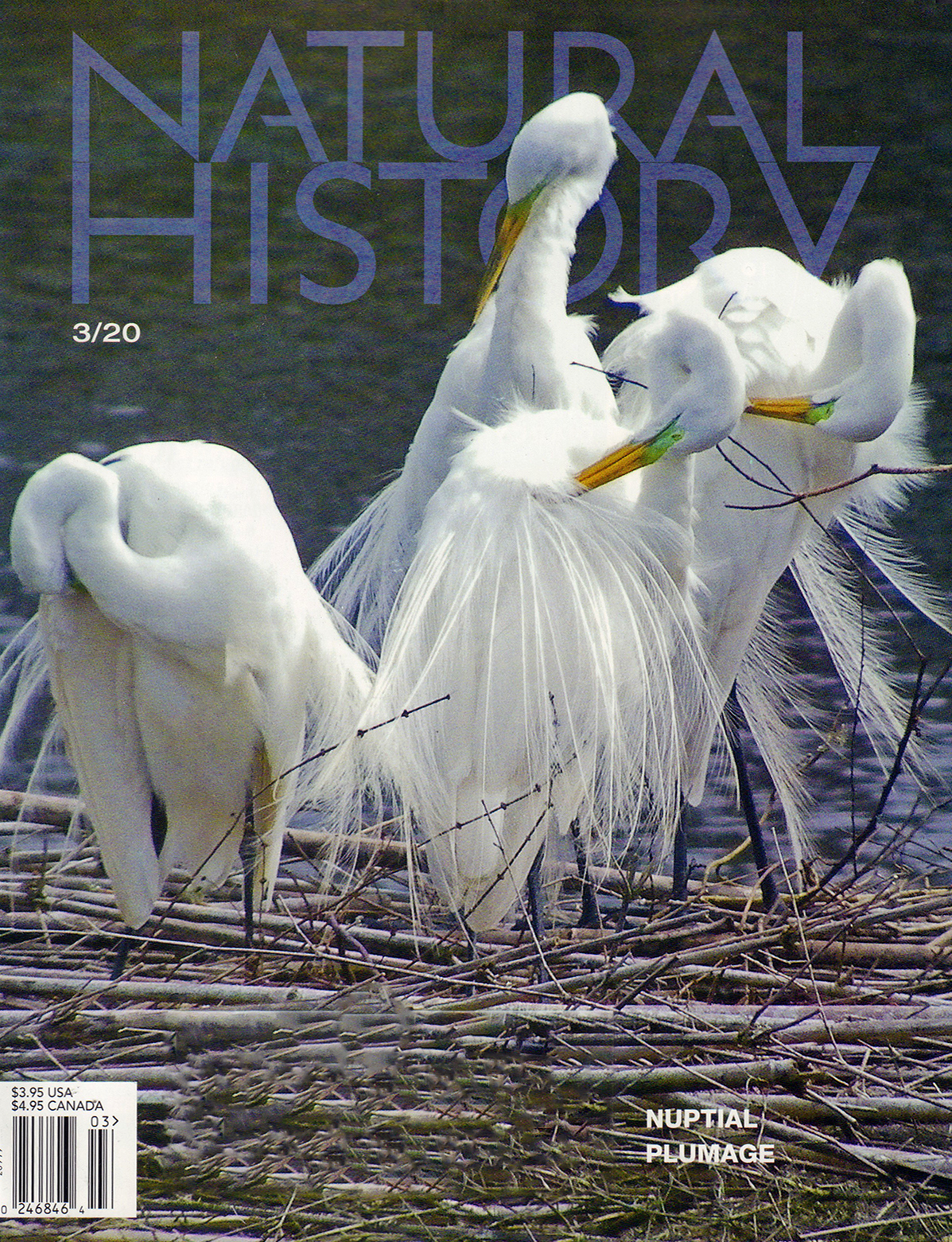 Natural-History March 01, 2020 Issue Cover